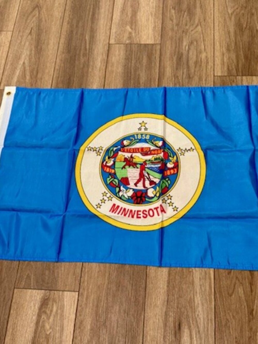 Minnesota 32nd State 1858 Flag